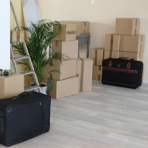 Consejos para embalar cajas y organizar tu mudanza